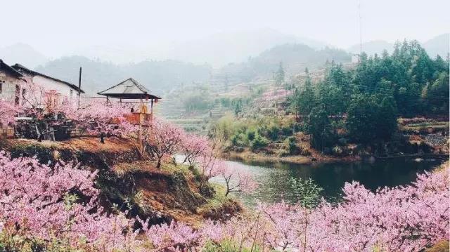 中國(guó)的桃花源和西方的烏托邦，是全人類的精神遺產(chǎn)